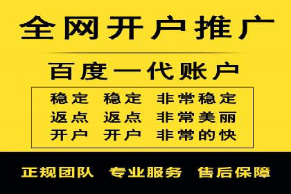 成功SEM投放案例分享
